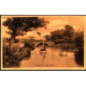 Aaparti ved Holte - Holte Bogh. 3785