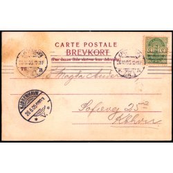 N&aelig;sseslottet - H. Schous Bogh. u/n