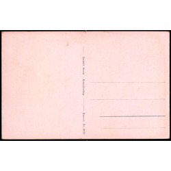 Holte - N&aelig;sseslottet - Rudolf Olsen 5977