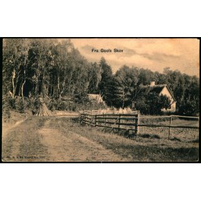 Fra Geels Skov - Sk.B. & Kf. 1697