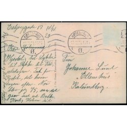 Peter Lipst Hus i Dyrehaven - Chr. Olsen 1031