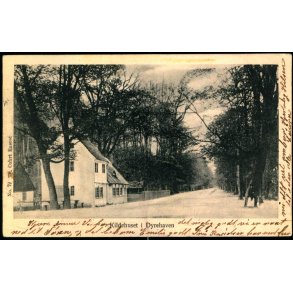 Kildehuset i Dyrehaven - Th. Cohrt 72