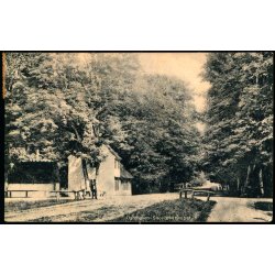 Dyrehaven - Skovl�berhuset - Alex Vincent 3028