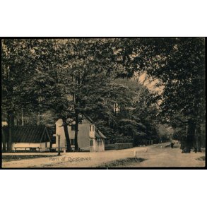 Parti fra Dyrehaven - C. Flor u/n