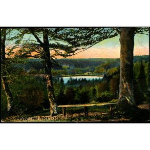 Huls&oslash;en ved Frederiksdal - Alex Vincent 55