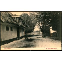 Dyrehaven - Ved Hjortekj&aelig;rshuset - Alex Vincent 3031