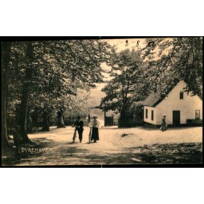 Dyrehaven - Ved Posemandens Hus - Stender 5982