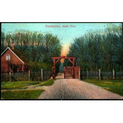 Dyrehaven - R&oslash;de Port - Alex Vincent 69