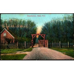 Dyrehaven - R&oslash;de Port - Alex Vincent 69