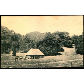 Dyrehaven - Foderhuset - 