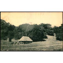 Dyrehaven - Foderhuset - "Danmark" u/n