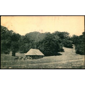 Dyrehaven - Foderhuset - 