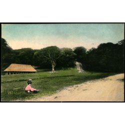 Ved Ulvedalene - C. St. 3772