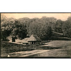 Dyrehaven - Ulvedalene - Kortforlaget "Danmark" u/n