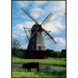 Frilandsmuseet - Fuglevad vindm&oslash;lle - Nationalmuseet 701