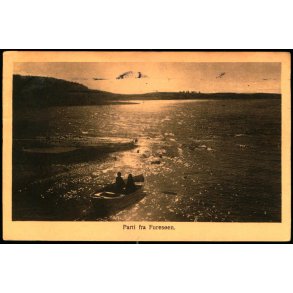 Parti fra Fures&oslash;en - DFK 146