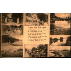 Hilsen fra Fures&oslash;en - C.G. Petersens Bogh. u/n