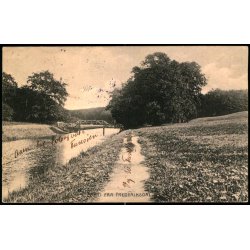 Parti fra Frederiksdal - Alex Vincent 3243