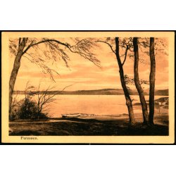 Fures&oslash;en - Imit. Kobbertryk - Alex Vincent 420