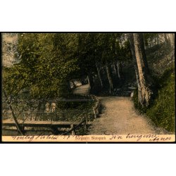 Sorgenfri Slotspark - Alex Vincent 3052