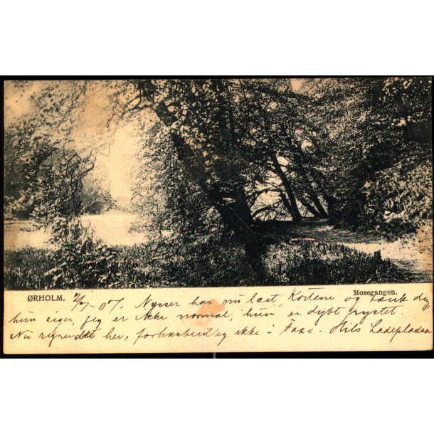 &Oslash;rholm - Mosegangen - u/n