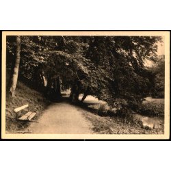 Sorgenfri Skov - Knud Henriksens Bogh. 54539