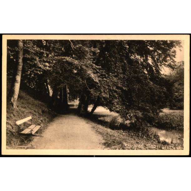 Sorgenfri Skov - Knud Henriksens Bogh. 54539