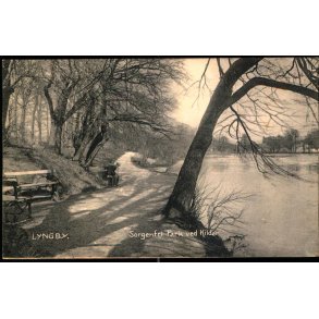 Lyngby - Sorgenfri Park ved Kilden - C.G. Petersens Bogh. 101