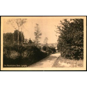 Fra Ravnholms Skov - Lyngby - Knud Henriksens Bogh. 54542