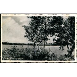 Lyngby - Udsigt over Lyngby S&oslash; - C.G. Petersen 72033