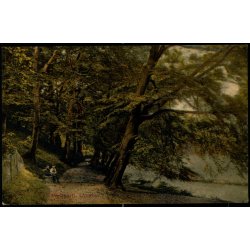 Parkparti - Lyngby - G.M. 2157