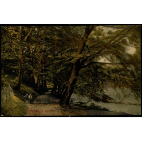 Parkparti - Lyngby - G.M. 2157