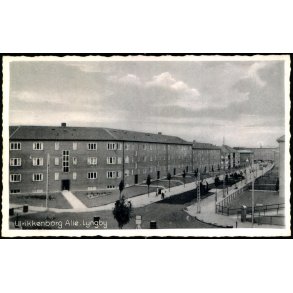 Ulrikkenborg Alle - Lyngby - C.G. Petersens Bogh. 72025