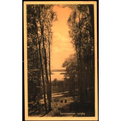 Dansebakken - Lyngby - Knud Henriksen 41726