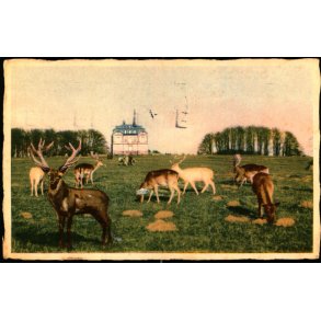 Parti fra Dyrehaven - Stender 33