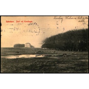 København - Parti ved Eremitagen - 655