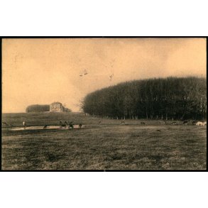 København - Parti i Dyrehaven - K. Eneret 657