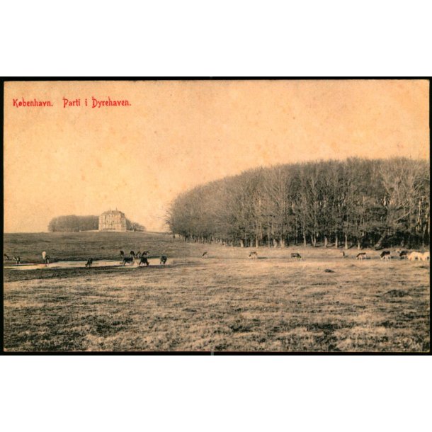K&oslash;benhavn - Parti i Dyrehaven - 655