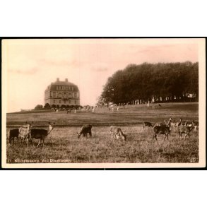 Klampenborg - Ved Eremitagen - Alex Vincent 71