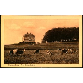 Klampenborg - Ved Eremitagen - Alex Vinvent 658