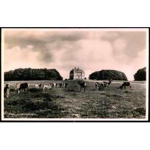 Fra Dyrehaven - Stender 3076