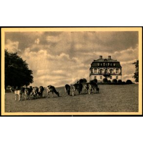 København - Eremitage Slottet - John Meincke 935