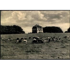 Eremitage Slottet - Rudolf Olsen 7245