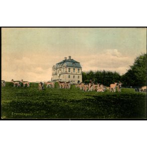 Eremitagen - Alex Vincent 3038