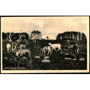 Parti fra Dyrehaven - Stender 327