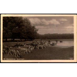 Klampenborg - Dyrehaven - Alex Vincent 46