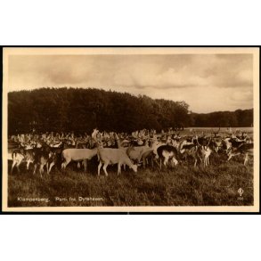 Klampenborg - Parti fra Dyrehaven - Chr. Olsen 396