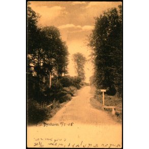 Fra Dyrehaven - Poul Heckscher u/n