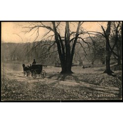 Dyrehaven - Postkort Forlaget "Danmark" u/n