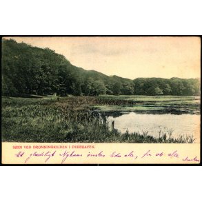 Søen ved Dronningkilden i Dyrehaven - Ed.F. Ph. & Co. 3524